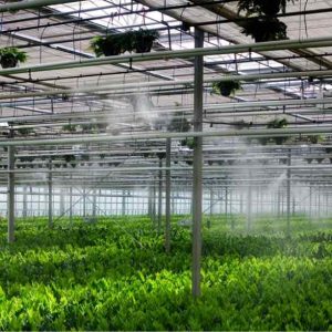 Climate Control Fogging System