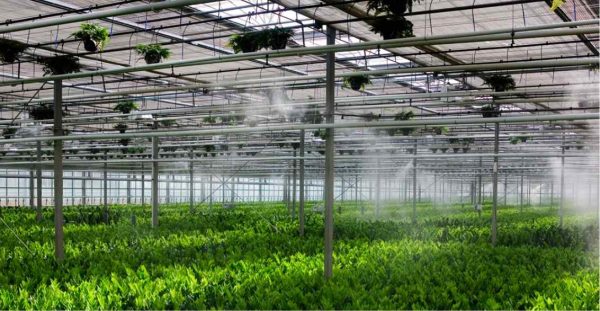 Climate Control Fogging System